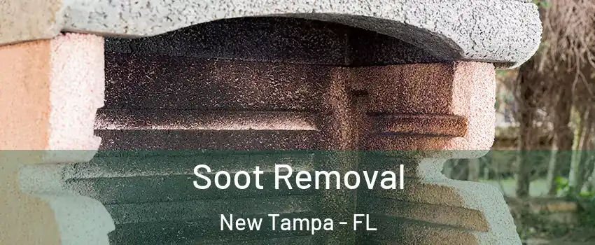 Soot Removal New Tampa - FL