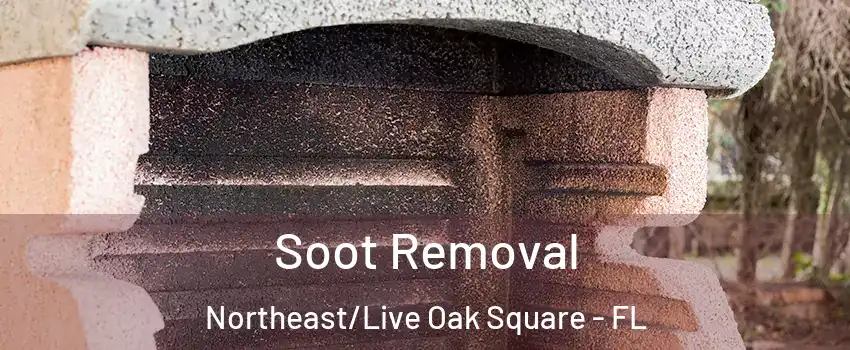 Soot Removal Northeast/Live Oak Square - FL