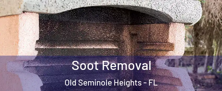 Soot Removal Old Seminole Heights - FL