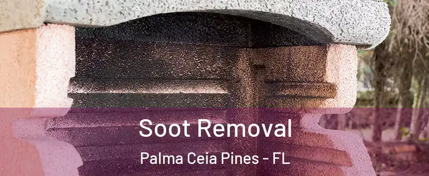 Soot Removal Palma Ceia Pines - FL