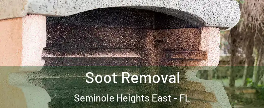 Soot Removal Seminole Heights East - FL