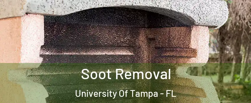 Soot Removal University Of Tampa - FL