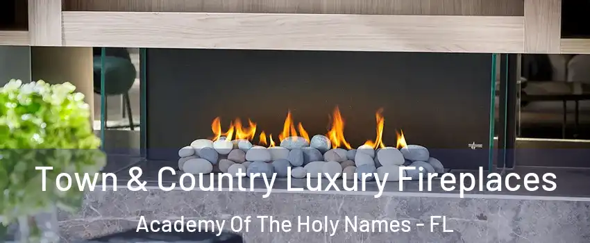 Town & Country Luxury Fireplaces Academy Of The Holy Names - FL