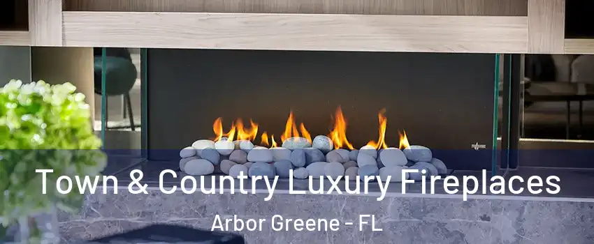 Town & Country Luxury Fireplaces Arbor Greene - FL