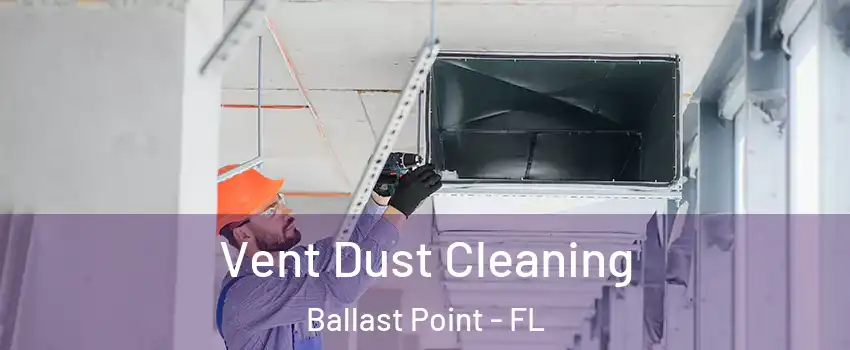 Vent Dust Cleaning Ballast Point - FL