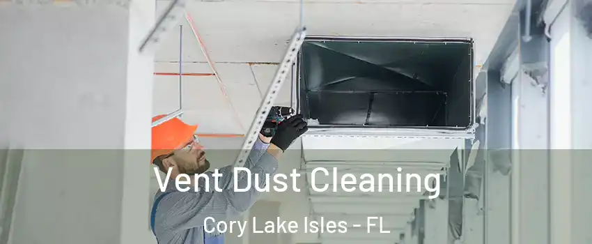 Vent Dust Cleaning Cory Lake Isles - FL