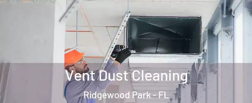 Vent Dust Cleaning Ridgewood Park - FL