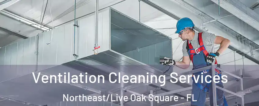 Ventilation Cleaning Services Northeast/Live Oak Square - FL