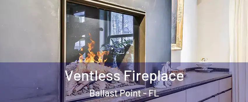 Ventless Fireplace Ballast Point - FL