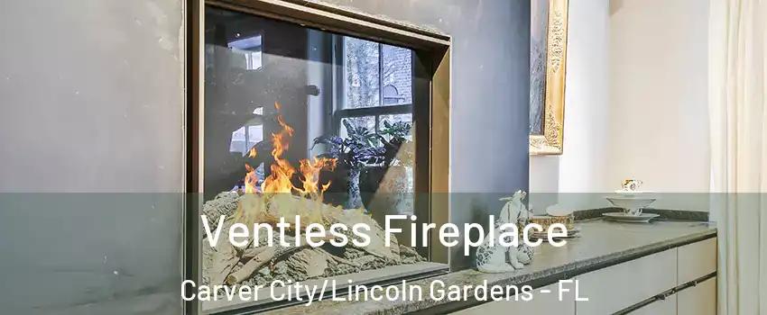 Ventless Fireplace Carver City/Lincoln Gardens - FL