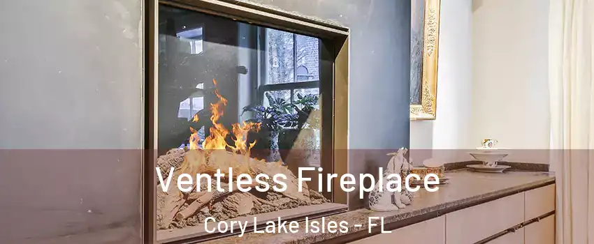 Ventless Fireplace Cory Lake Isles - FL