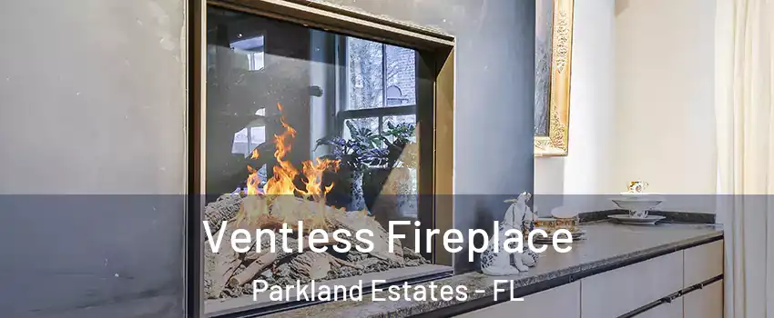 Ventless Fireplace Parkland Estates - FL