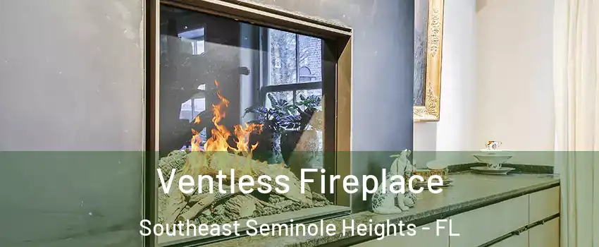 Ventless Fireplace Southeast Seminole Heights - FL