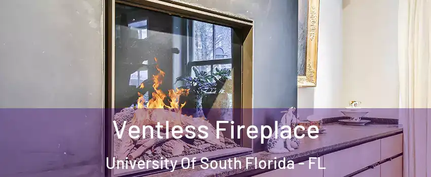 Ventless Fireplace University Of South Florida - FL