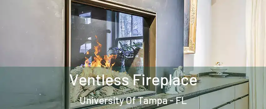 Ventless Fireplace University Of Tampa - FL