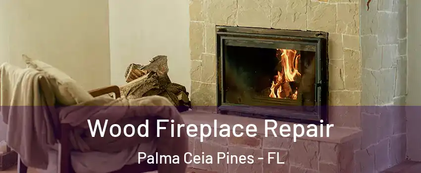 Wood Fireplace Repair Palma Ceia Pines - FL