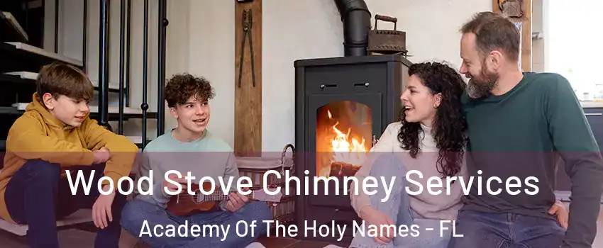 Wood Stove Chimney Services Academy Of The Holy Names - FL