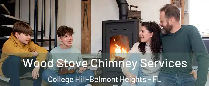 Wood Stove Chimney Services College Hill-Belmont Heights - FL