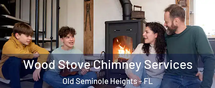 Wood Stove Chimney Services Old Seminole Heights - FL