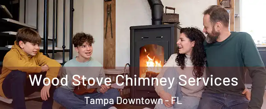 Wood Stove Chimney Services Tampa Downtown - FL