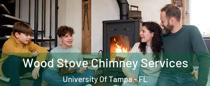 Wood Stove Chimney Services University Of Tampa - FL