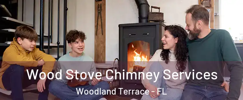 Wood Stove Chimney Services Woodland Terrace - FL