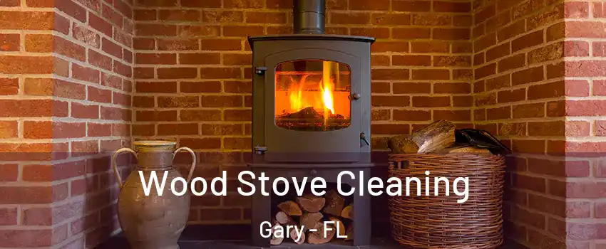 Wood Stove Cleaning Gary - FL