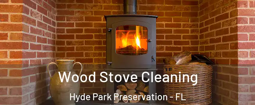 Wood Stove Cleaning Hyde Park Preservation - FL