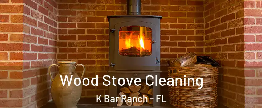 Wood Stove Cleaning K Bar Ranch - FL