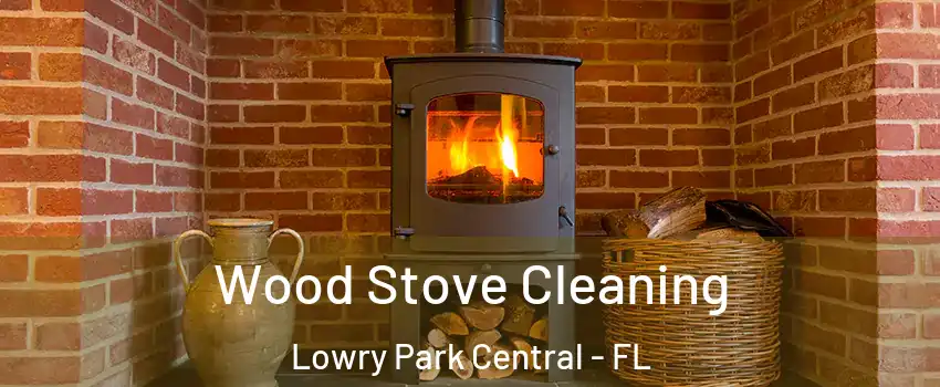 Wood Stove Cleaning Lowry Park Central - FL