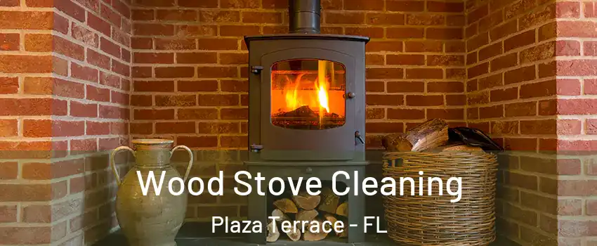 Wood Stove Cleaning Plaza Terrace - FL