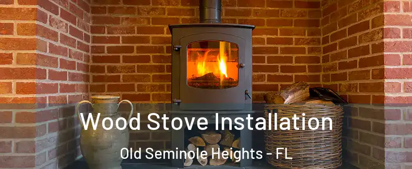 Wood Stove Installation Old Seminole Heights - FL