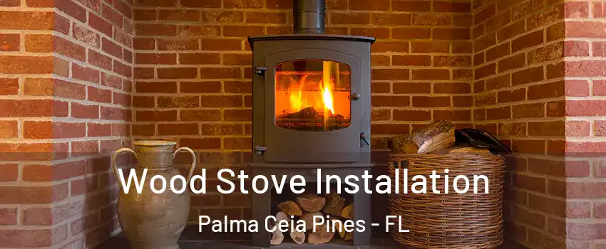 Wood Stove Installation Palma Ceia Pines - FL