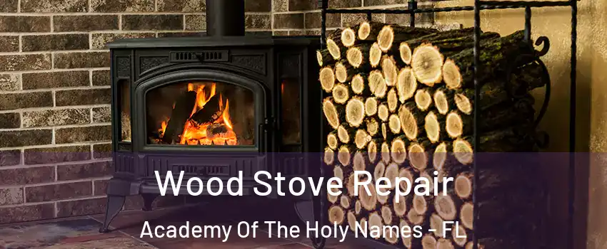 Wood Stove Repair Academy Of The Holy Names - FL