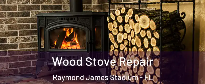 Wood Stove Repair Raymond James Stadium - FL