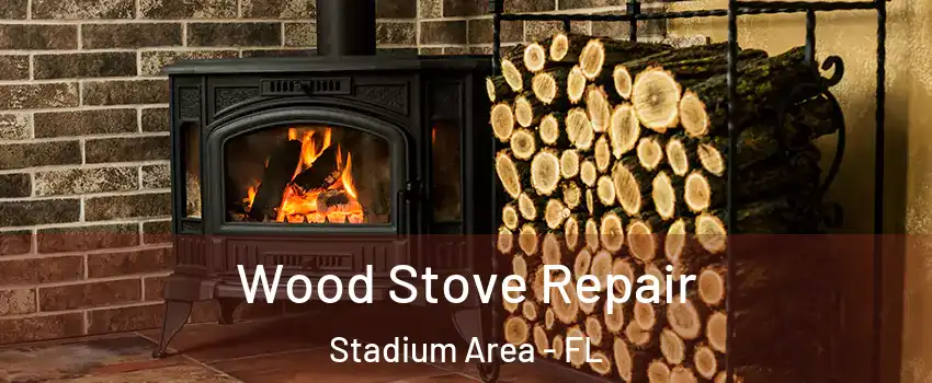 Wood Stove Repair Stadium Area - FL